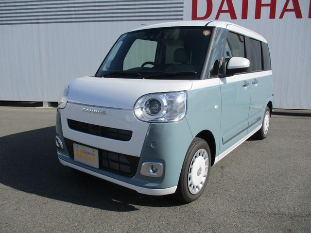 ムーヴキャンバス  ストライプス G