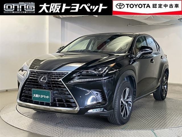 NX 300h Iパッケージ （DAA-AYZ10）