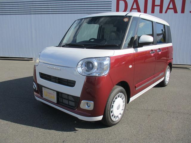 ムーヴキャンバス  ストライプス G