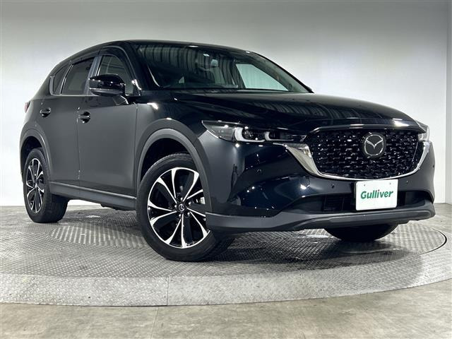 CX-52.2 XD プロアクティブ修復歴無し