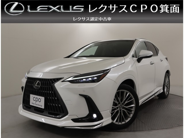 NX 250 バージョンL NX 250 バージョンL（5BA-AAZA20）