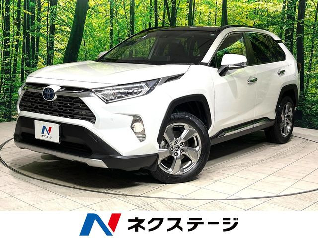 RAV4 2.5 ハイブリッド G E-Four 4WD （6AA-AXAH54）
