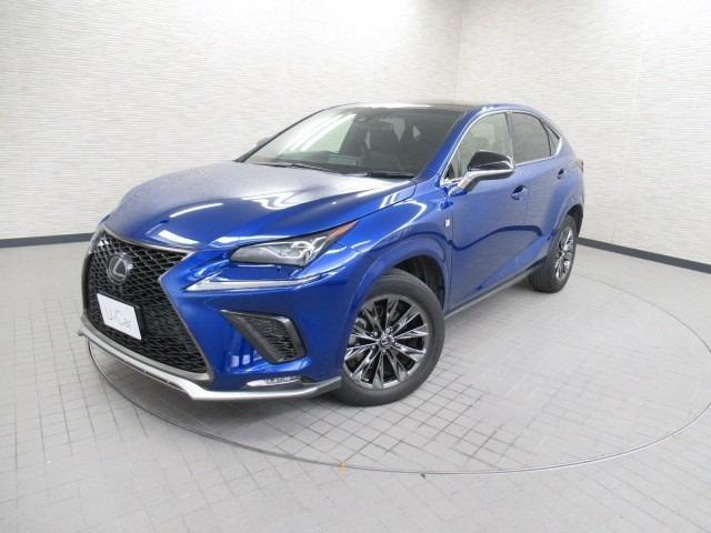 NX300クール&ブライト