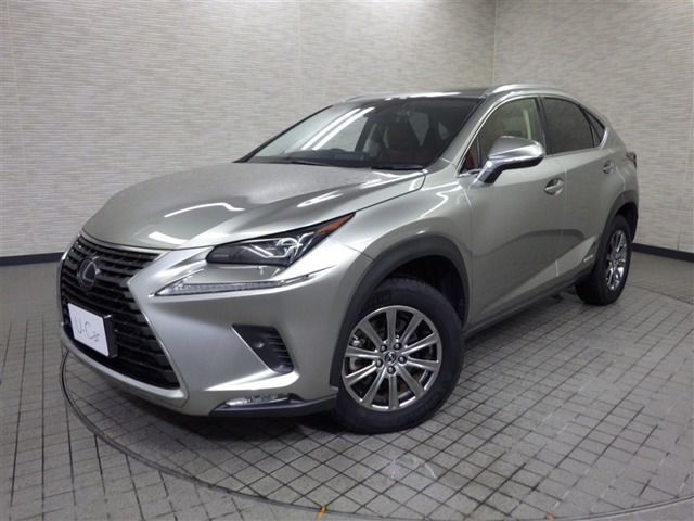 NX300h Iパッケージ 4WD