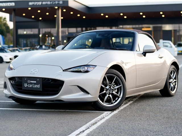 ロードスター1.5 ブラウン トップ