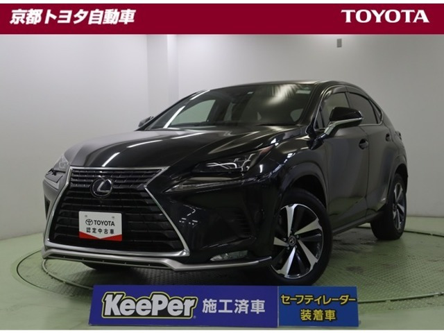 NX300h スパイス&シック 4WD