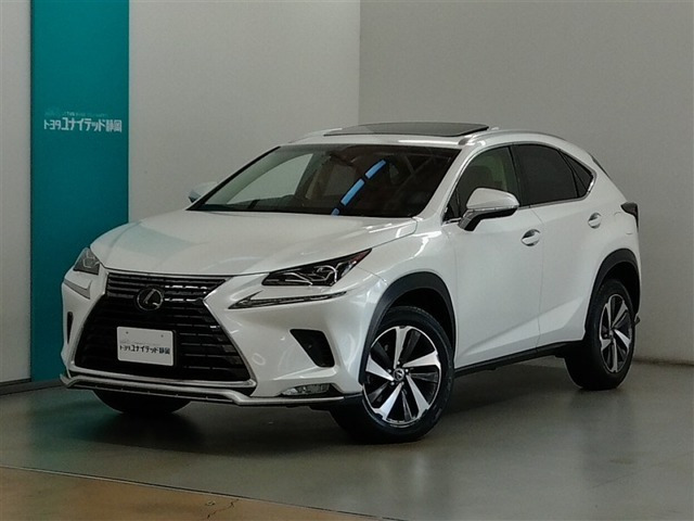 NX300 Iパッケージ 4WD