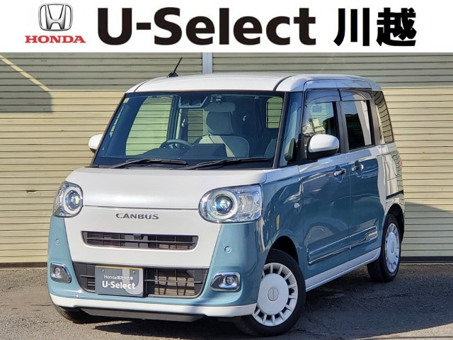 ムーヴキャンバス  ストライプス G