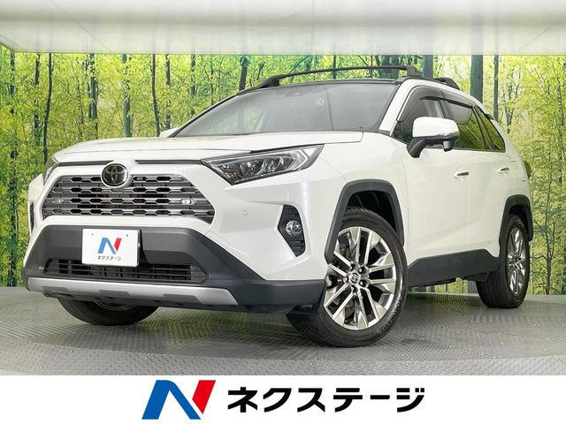 RAV4 2.0 G Zパッケージ 4WD （6BA-MXAA54）