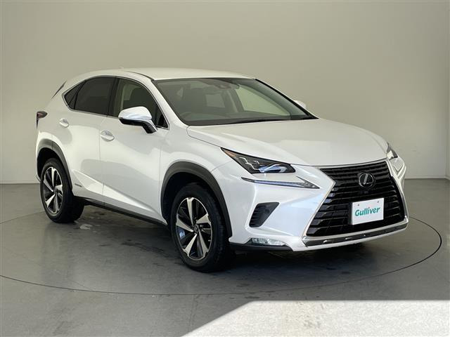 NX 300h バージョンL 4WD 本革シート（6AA-AYZ15）