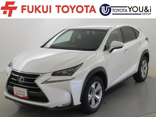 NX 200t バージョンL 