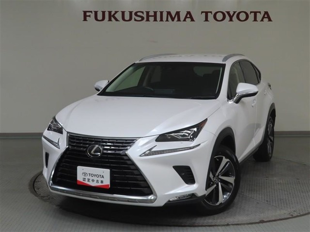 NX300 Iパッケージ 4WD