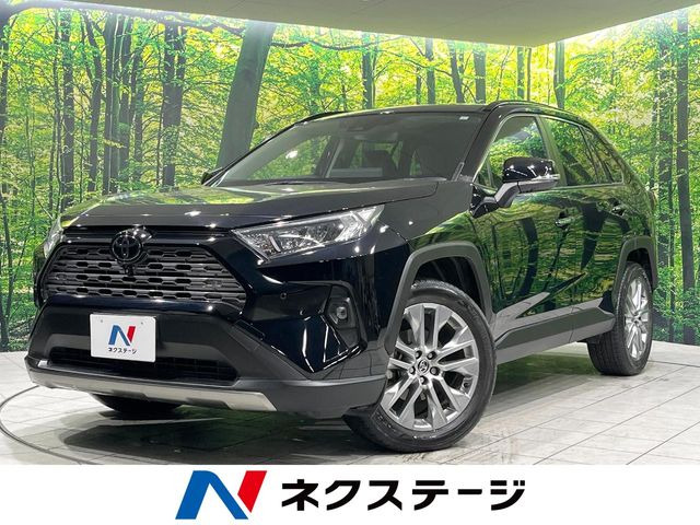 RAV4 2.0 G Zパッケージ 4WD 