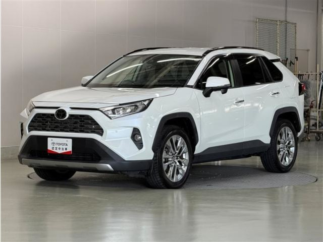RAV4 2.0 G Zパッケージ 4WD 