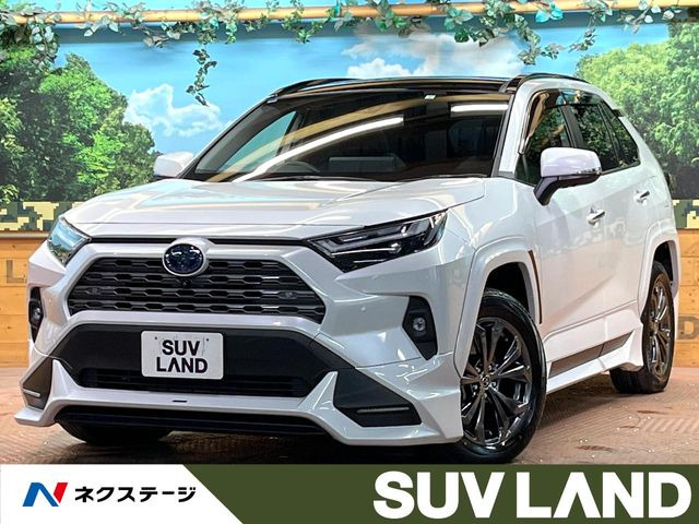 RAV4 2.5 ハイブリッド G E-Four 4WD （6AA-AXAH54）