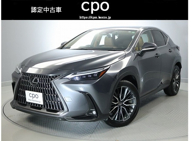 NX250 バージョンL 4WD