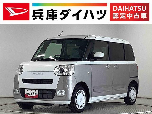 ムーヴキャンバス  ストライプス G