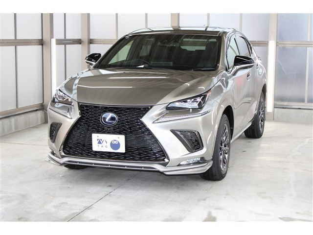 NX300h アーバンスタイルクール&ブライト