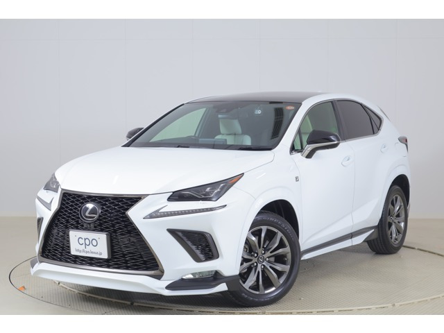 NX 300 Fスポーツ 