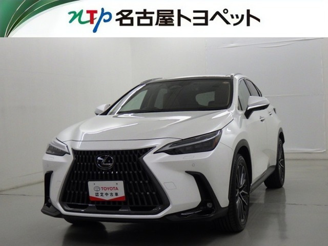 NX 250 バージョンL NX 250 バージョンL