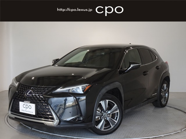 UX300e バージョンL