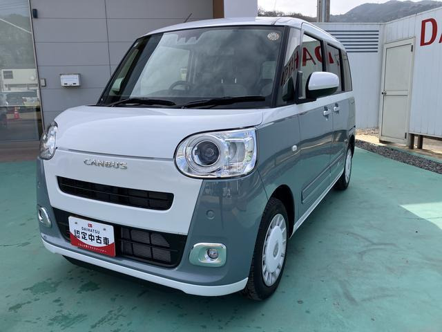 ムーヴキャンバス  ストライプス G