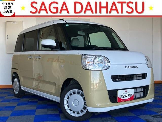 ムーヴキャンバス  ストライプス X