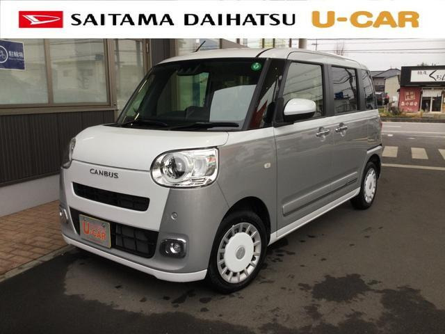 ムーヴキャンバス  ストライプス G