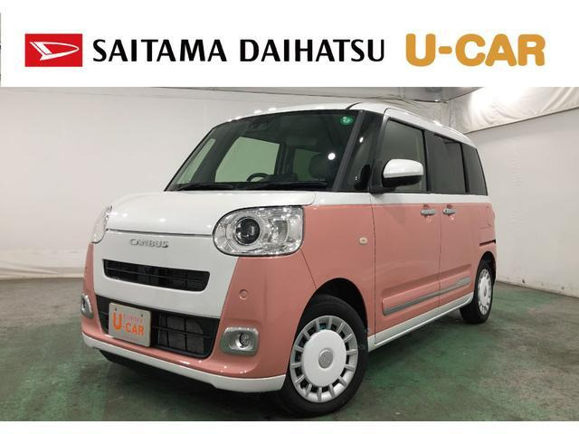 ムーヴキャンバス  ストライプス G