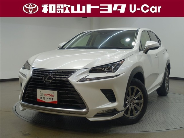 NX 300 Iパッケージ