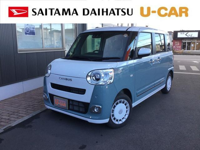 ムーヴキャンバス  ストライプス G