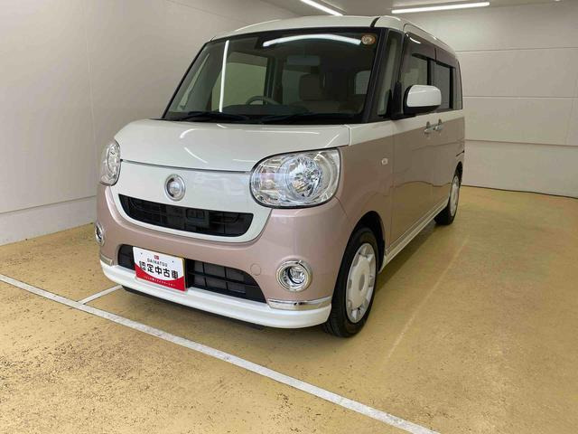 ムーヴキャンバス X リミテッド メイクアップ SAII 