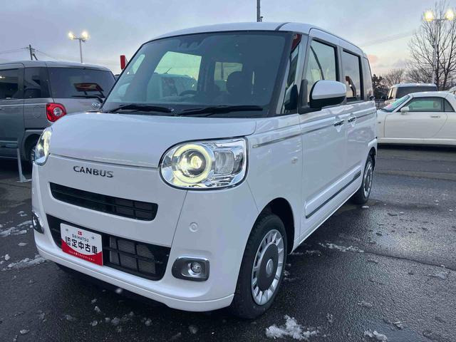 ムーヴキャンバス  セオリー G