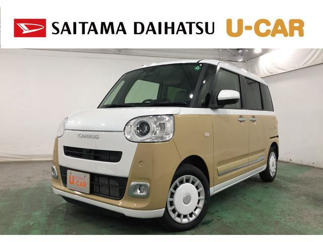 ムーヴキャンバス  ストライプス G