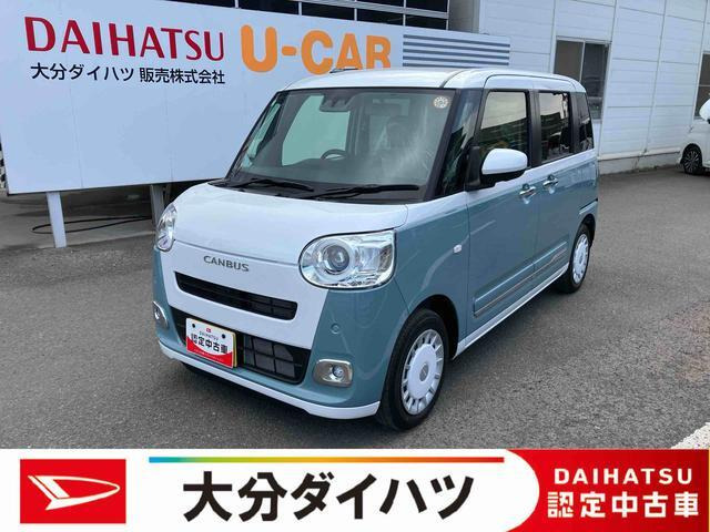 ムーヴキャンバス  ストライプス G