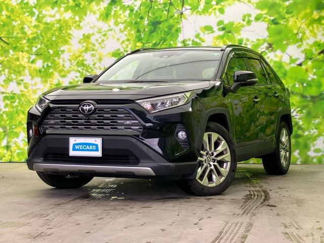 RAV4 2.0 G Zパッケージ 4WD （6BA-MXAA54）