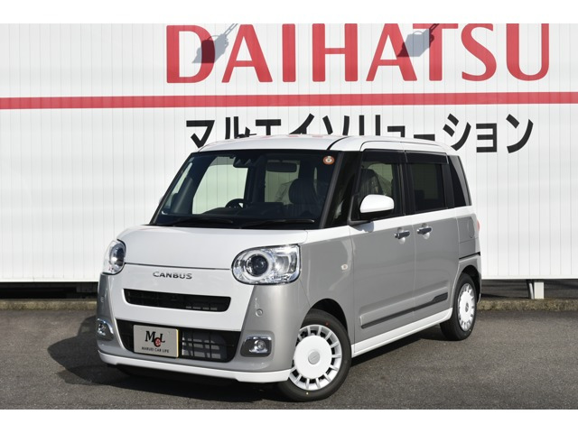 ムーヴキャンバス  ストライプス G