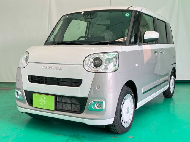 ムーヴキャンバス  ストライプス G