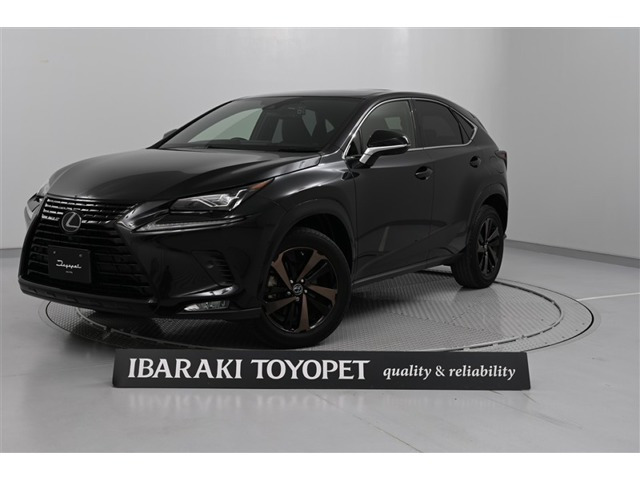 NX300 ブロンズ エディション