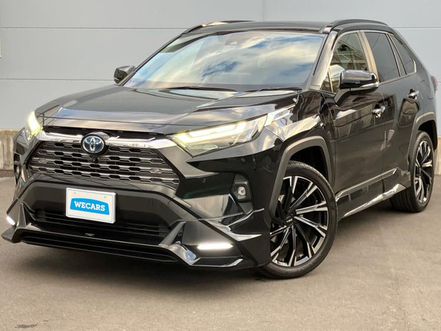 RAV4 2.5 ハイブリッド G E-Four 4WD （6AA-AXAH54）