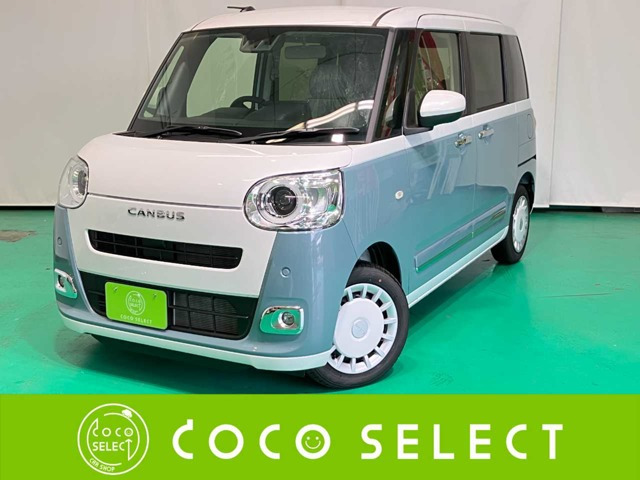 ムーヴキャンバス  ストライプス G