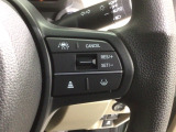 クルーズコントロールを装備しています。高速道路などで一定の速度で走ってくれるので運転が楽ですよ!速度を設定できますので、スピードの出しすぎにも注意できます。