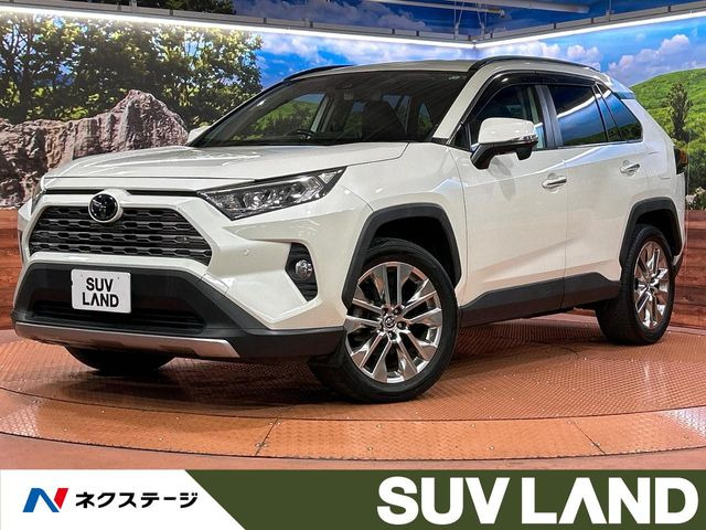 RAV4 2.0 G Zパッケージ 4WD （6BA-MXAA54）
