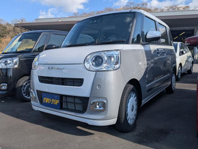 ムーヴキャンバス ストライプス G 