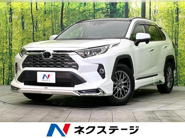 RAV4 2.0 G Zパッケージ 4WD （6BA-MXAA54）