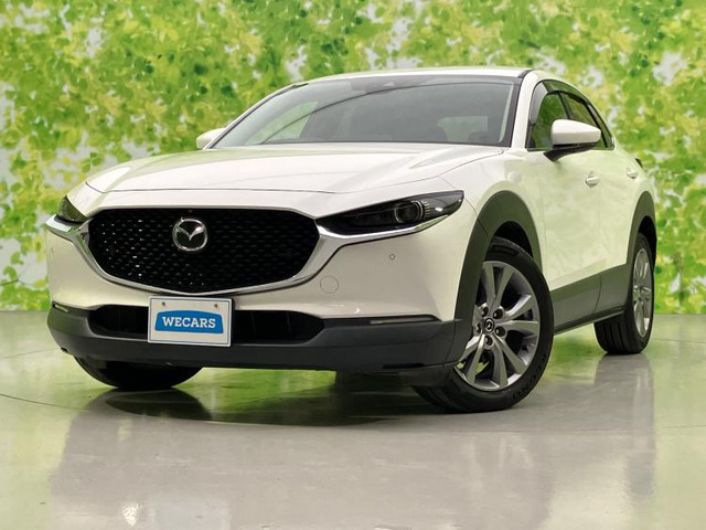 CX-301.8 XD Lパッケージ