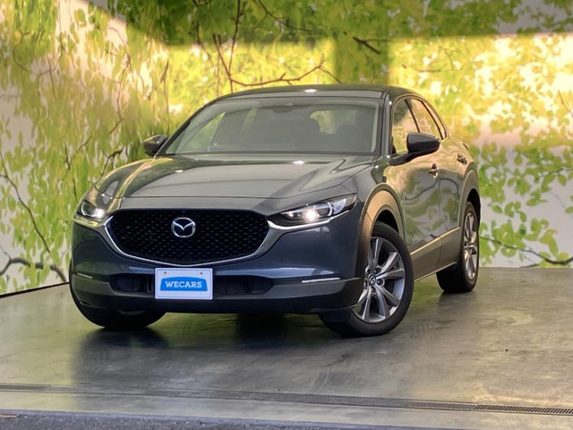 CX-30 2.0 20S プロアクティブ ツーリングセレクション