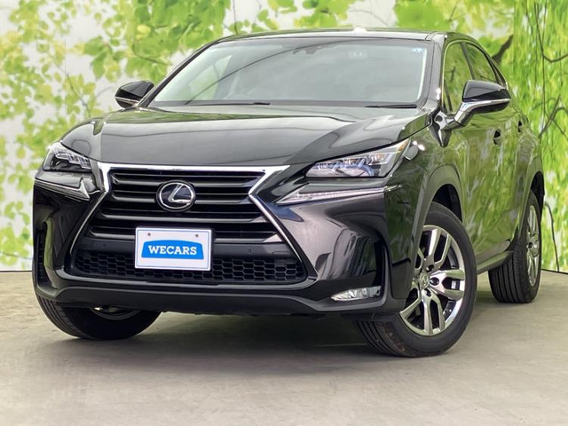 NX200t Iパッケージ