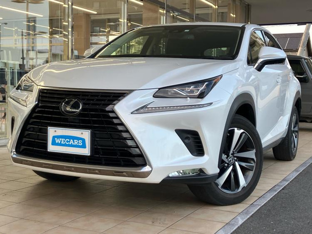 NX300h Iパッケージ