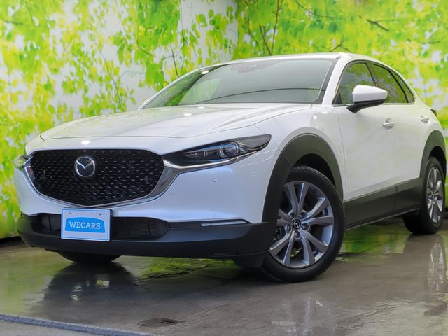 CX-302.0 20S プロアクティブ